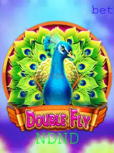 DoubleFly: Explorando as Regras e Dinâmica do Jogo com NDND
